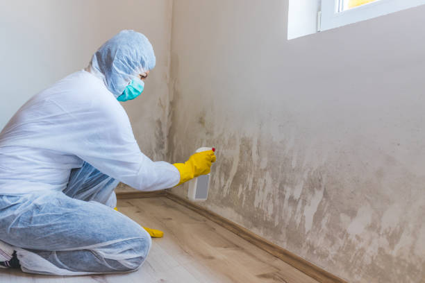 Commercial Mold Remediation assessment for commercial property in Manchester