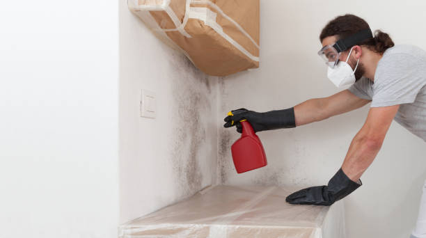 Basement Mold Remediation treatment on basement walls in Manchester